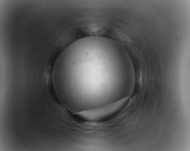 X0000089380515200706151206