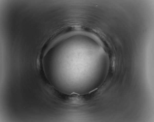 X0000089380516200706151206