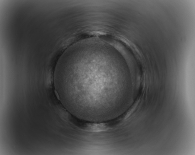 X0000089380517200706151206