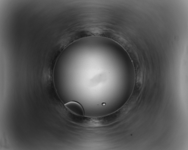 X0000089380518200706151206