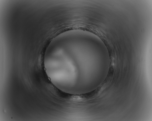 X0000089380519200706151206