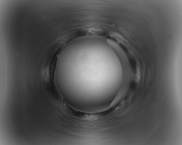 X0000089380520200706151206