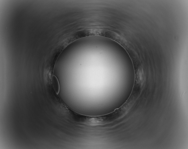 X0000089380522200706151206