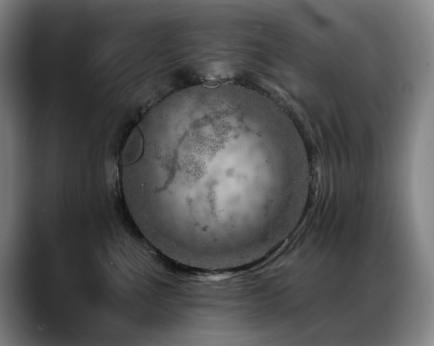 X0000089380523200706151206