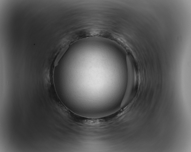 X0000089380524200706151206