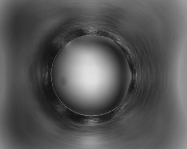 X0000089380525200706151206