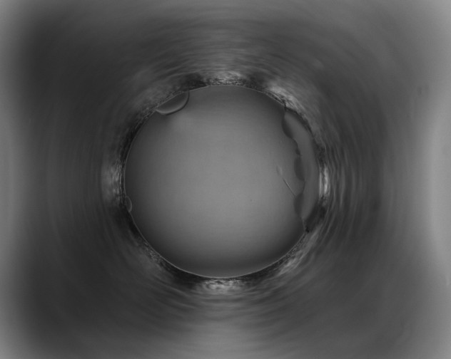 X0000089380526200706151206