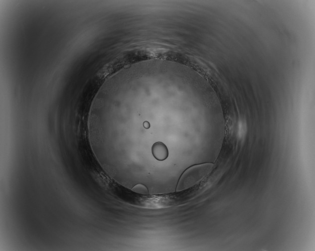 X0000089380527200706151206