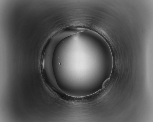 X0000089380530200706151206