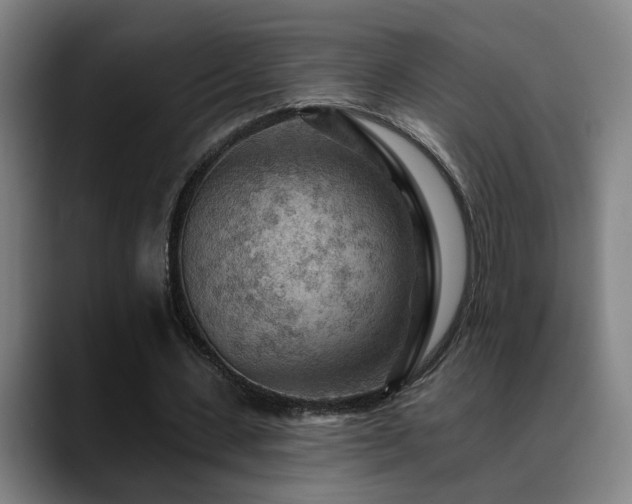X0000089380531200706151206