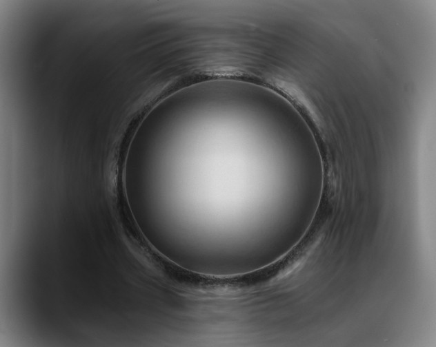 X0000089380533200706151206