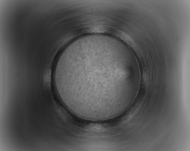 X0000089380534200706151206
