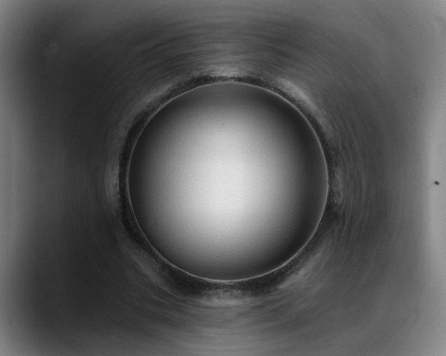 X0000089380535200706151206