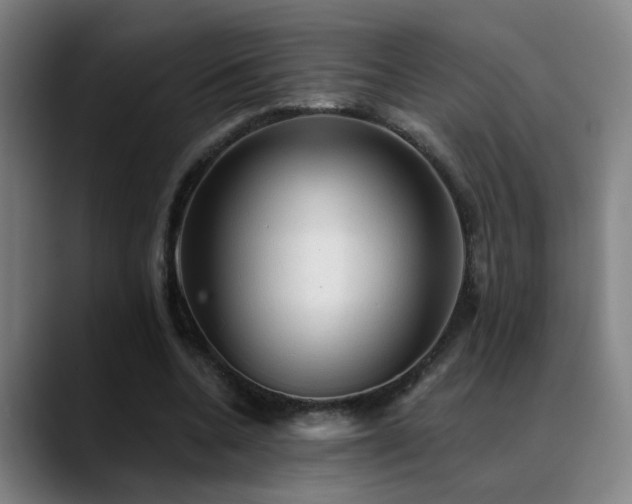 X0000089380536200706151206