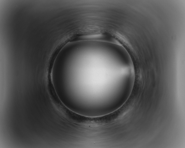 X0000089380538200706151206