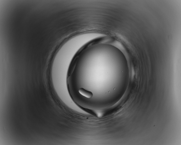 X0000089380540200706151206