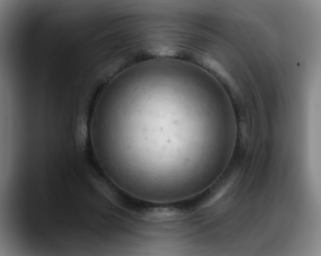 X0000089380541200706151206