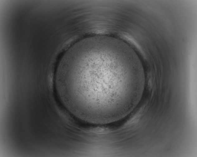 X0000089380542200706151206