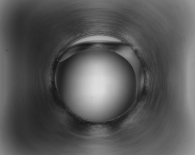 X0000089380544200706151206
