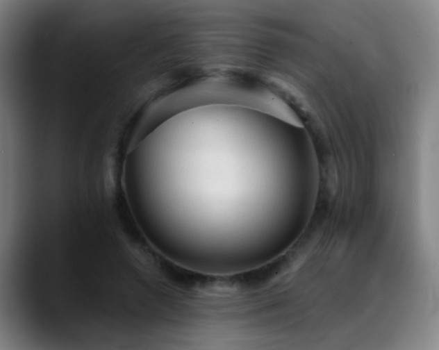 X0000089380546200706151206