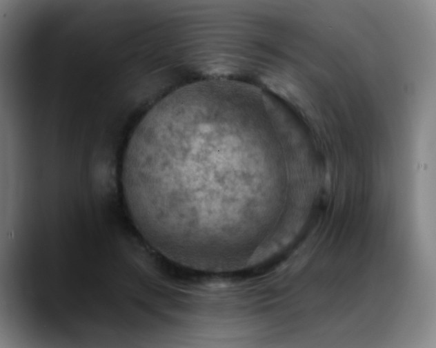 X0000089380547200706151206