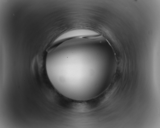 X0000089380548200706151206