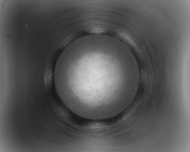 X0000089380549200706151206