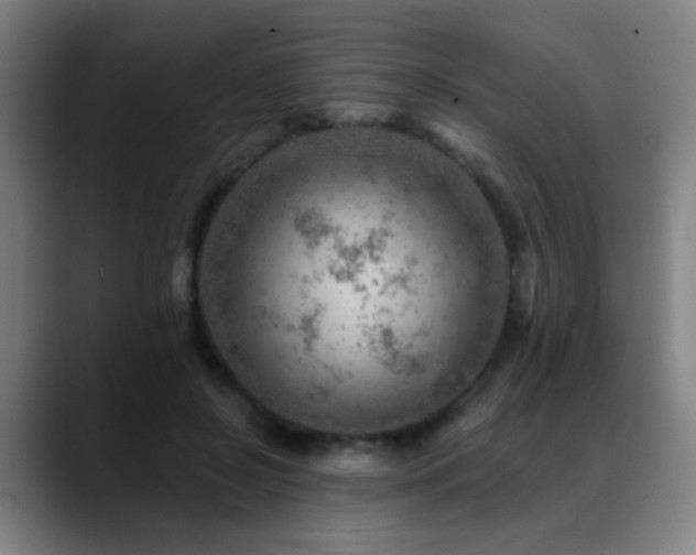 X0000089380550200706151206