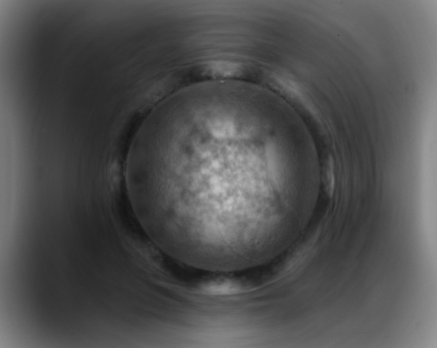 X0000089380551200706151206