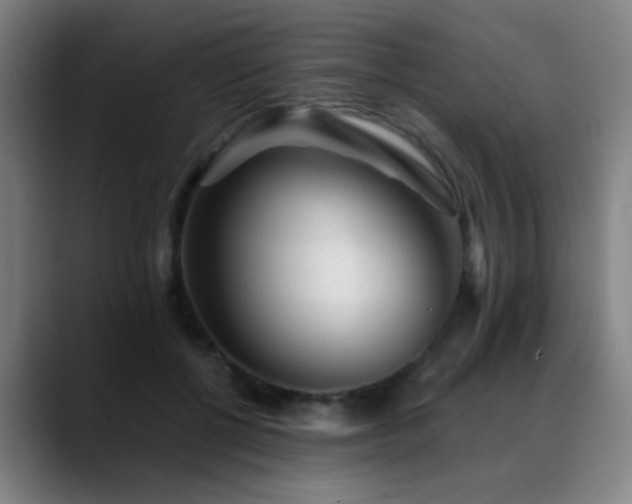 X0000089380552200706151206
