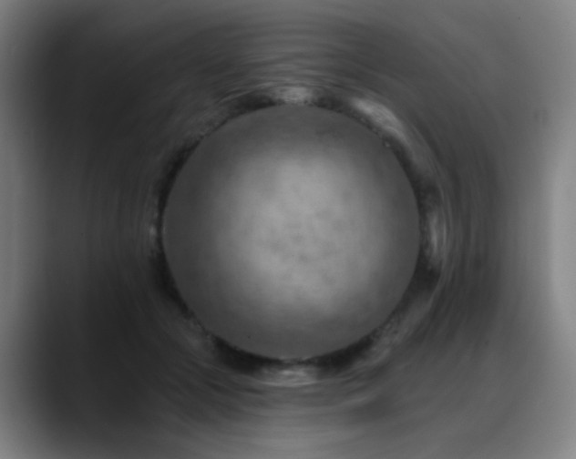 X0000089380553200706151206