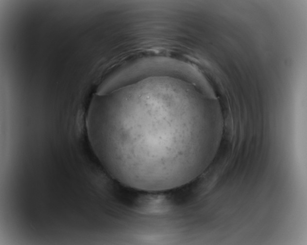 X0000089380554200706151206