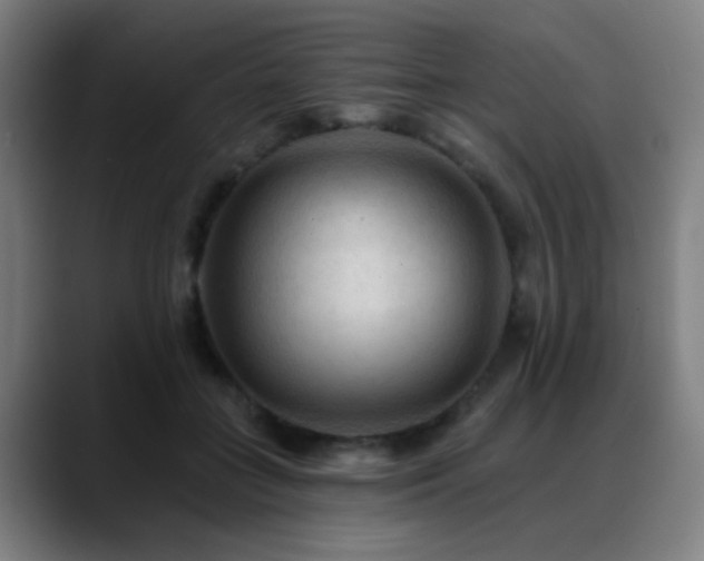 X0000089380555200706151206