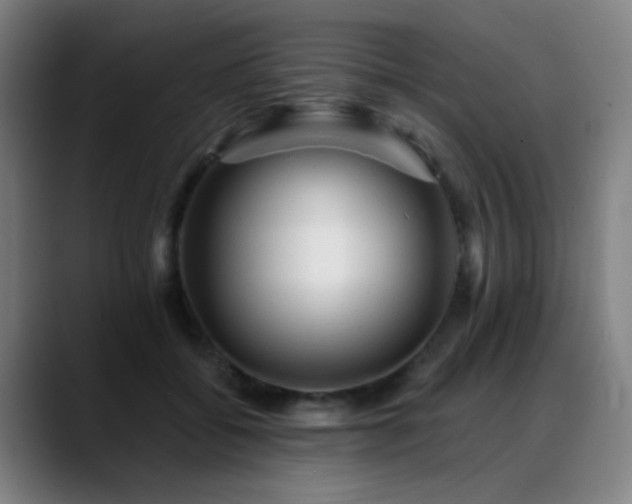 X0000089380556200706151206