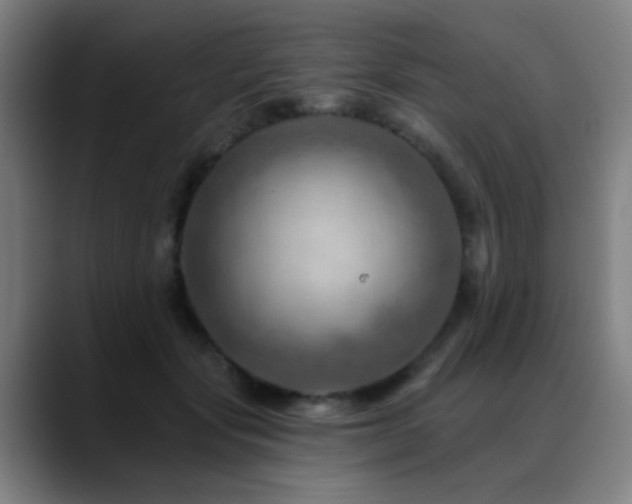 X0000089380557200706151206