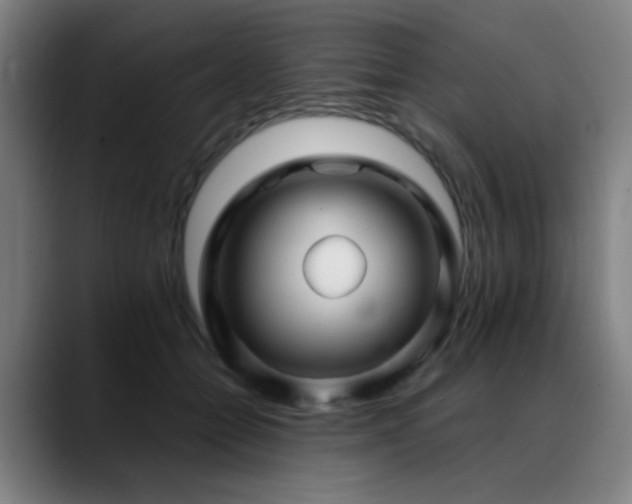 X0000089380558200706151206