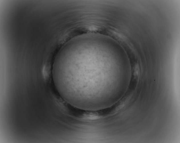 X0000089380559200706151206