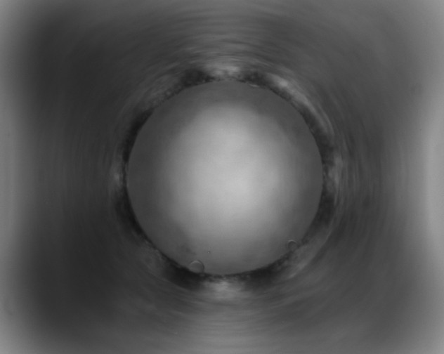 X0000089380561200706151206