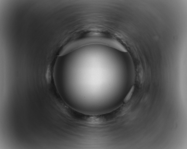 X0000089380562200706151206