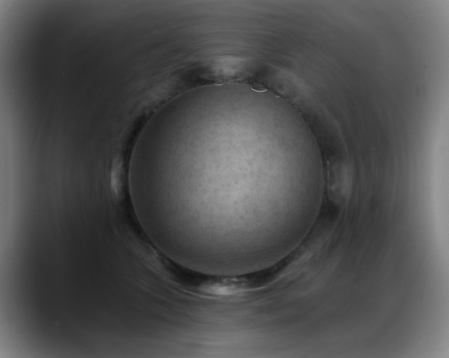 X0000089380563200706151206