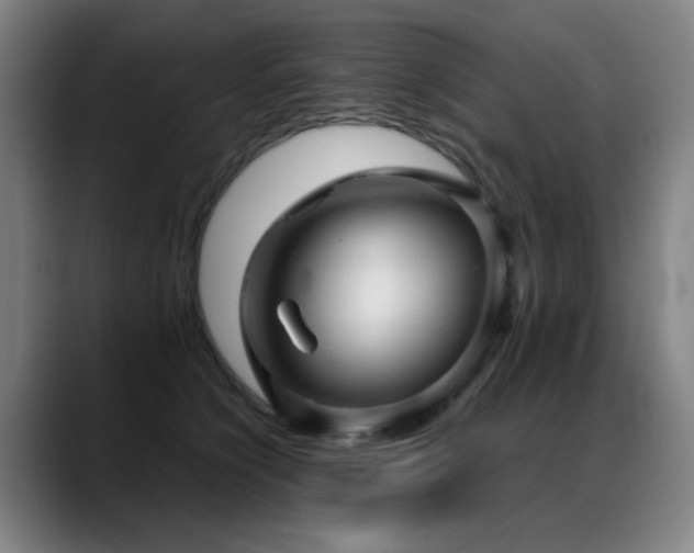 X0000089380564200706151206
