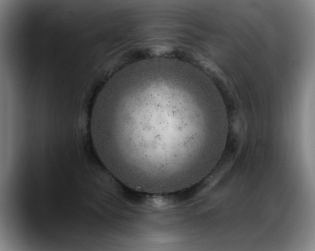 X0000089380565200706151206