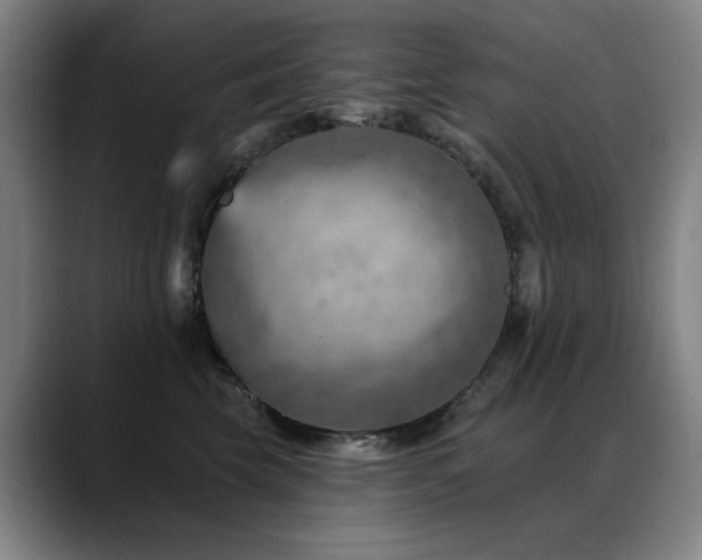 X0000089380569200706151206