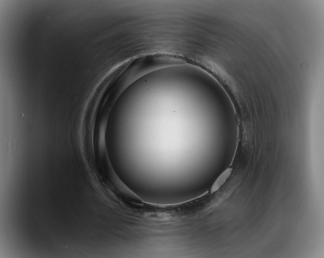 X0000089380580200706151206