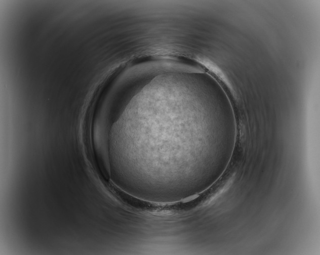 X0000089380581200706151206