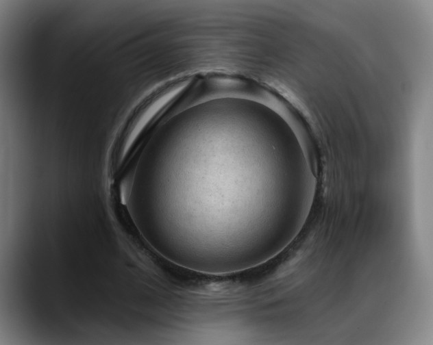 X0000089380584200706151206