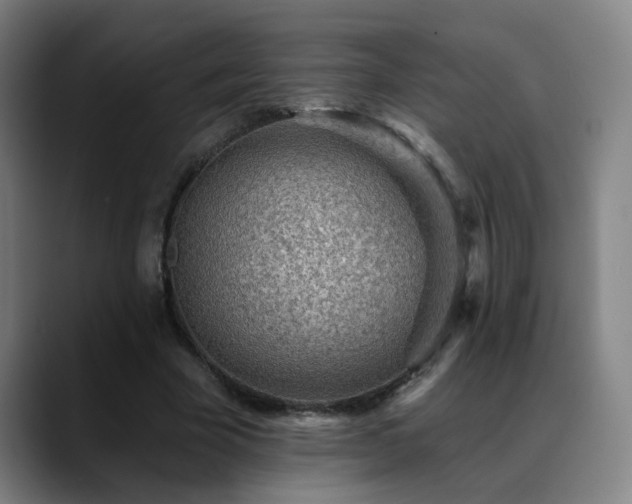 X0000089380585200706151206
