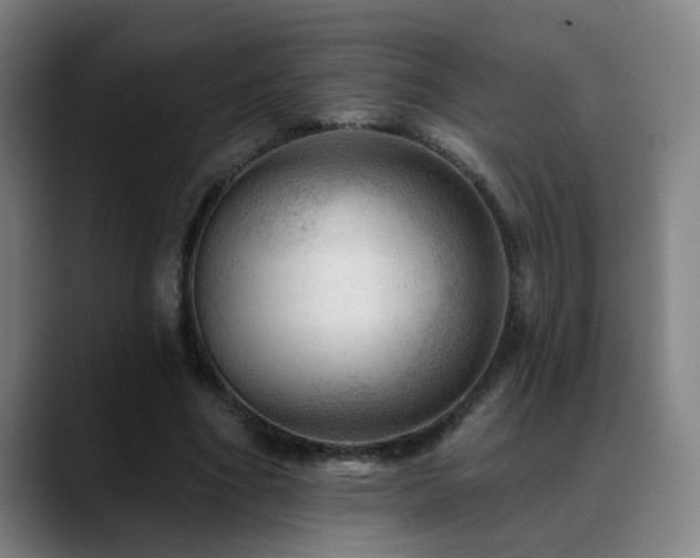 X0000089380586200706151206