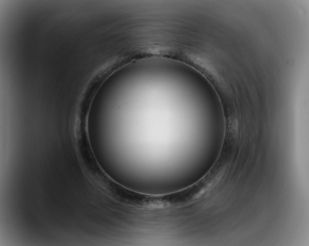 X0000089380587200706151206