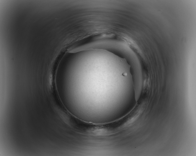 X0000089380589200706151206